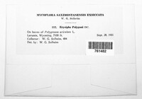 Image Associated With the Occurence
